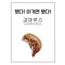 감마루스(Gammarus pulex) - 잎(엽)새우 이미지