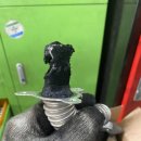 현대스피드크리닝 이미지