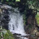 내원계곡라온펜션 이미지