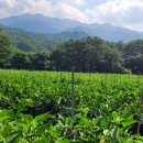 찬들농장 이미지