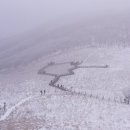 곰배령산장 이미지