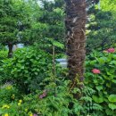 보금부동산공인중개사사무소 이미지