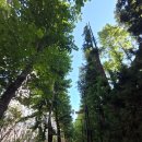 신동근린공원 쪽 이미지