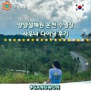 천수온천 | 양양 가족여행 설해원 온천 수영장 사우나 다이닝 솔직후기