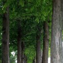 이순신공원 이미지