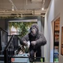 리틀히어로ZOO 이미지