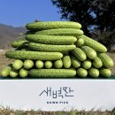 애드레시피 | 이정현 오이소박이 만들어본 후기 여름철 입맛 살리는 오이소박이