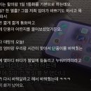 할머니랑 1일 1통화 해야하는데 못해서 삐진 개와 진심으로 사과하는 할머니 이미지