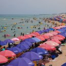 동해시-6 이미지