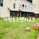 가평오즈펫리조트 이미지