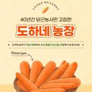 제주최고농산물