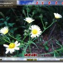 한국(181) 이미지