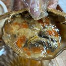 여수돌게장꽃게간장게장 | [여수 간장게장 택배] 대박 맛있어! 집에서 즐기는 여수 청정게장촌 간장암꽃게장 후기 (간장 게장 택배...