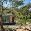 카페디딤돌 | “곡성 침곡마을 디딤돌펜션 내돈내산 숙박후기 🏡 자연 속 힐링 가득한 전남 감성숙소”