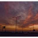 동산목장 이미지