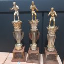 안중 체육관 이미지