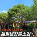 무릉도원마을 | 횡성&amp;영월 여행 무릉도원을 느낄 수 있는 해질녘강물소리 펜션 후기(영월 여행#2)