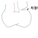 신플란트치과의원 이미지