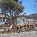 노루목 68 이미지