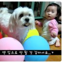 두둥 이미지