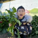 포항유치원 이미지