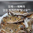 밥도둑간장게장 이미지