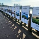 은파약국 이미지