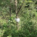 세종이음학교 앞 이미지