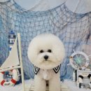 그루밍_light 이미지