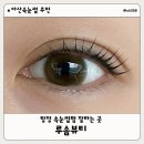한들물빛중학교 정문 2 | 탕정속눈썹 루솜뷰티 노글루 클리닉 수분펌, 자연스러운 눈매 후기
