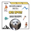 GS25 명지대후문점 | 한남정맥 용인 함박산 최단코스(짧은 명지대코스)