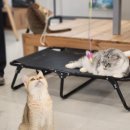 예뻐질:개&고양이카페 이미지