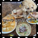 수원-0578 네이버블로그