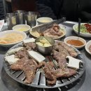 여수동진갈매기 이미지