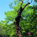 관광장여관 이미지