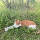 UR(천안시)-[풍세로]-하-39 | 9월 1주차