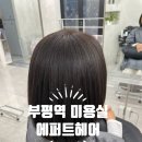 에퍼트헤어 | 부평역 미용실 추천 톤다운염색 에퍼트헤어