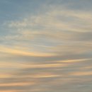 호텔간월재 이미지