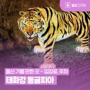 씨유 울산동굴피아점 | [블로그 기자] 울산 가볼 만한 곳, 태화강 동굴피아 관람 후기 (입장료/주차)