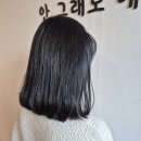 짱미용실 이미지