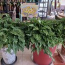 녹차골 금강휴게소 이미지