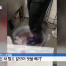 보배족발 - 양산시 중부로 12 | 보배족발