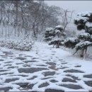 전남도청비둘기어린이집 이미지