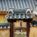 영풍펜션민박 | 가을의 끝자락 따라 찾아가는 경북 성주의 晩秋