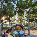 죽도해수욕장 야영장 이미지