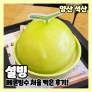 설빙 양산석산점 요거통통메론빙수 시켜먹은 솔직후기 내부 메뉴판 정보