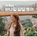 황금교 이미지
