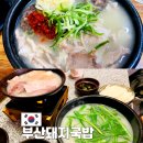 수영돼지국밥 | 부산돼지국밥 맛집 비교 수영돼지국밥 vs 남포동 양산집 후기