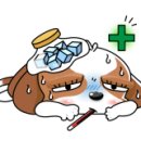 앤멀티샵 이미지