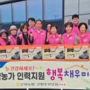 채우미